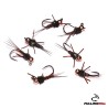 Pheasant Tail Rubbers Legs JIG Tungsteno  | Ninfa | Pesca Con Mosca