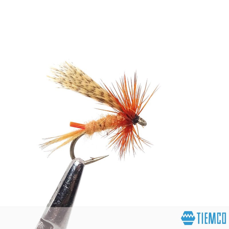 Toñita | Seca | Pesca Con Mosca | Fly Fishing